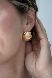 Ariel Sea Shell Earrings